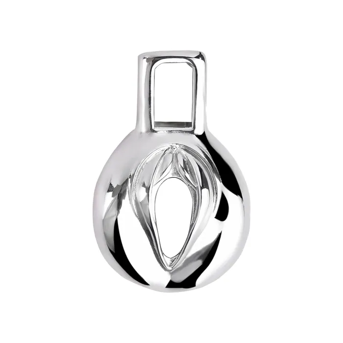 Male Sex Toys CHASTITY CAGE CO Steel Clitty Chastity Cage