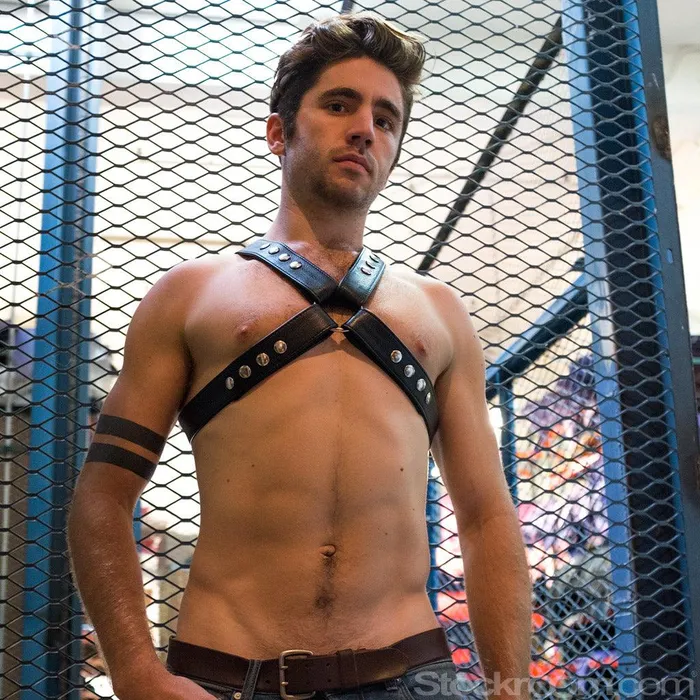 Female Sex Toys vendorunknown Garment Leather Chest Harness